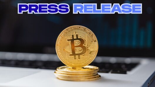 PRWireNOW veröffentlicht umfassenden Leitfaden für Blockchain-Pressemitteilungen zur Unterstützung von Web3-Projekten - Halbangst.de