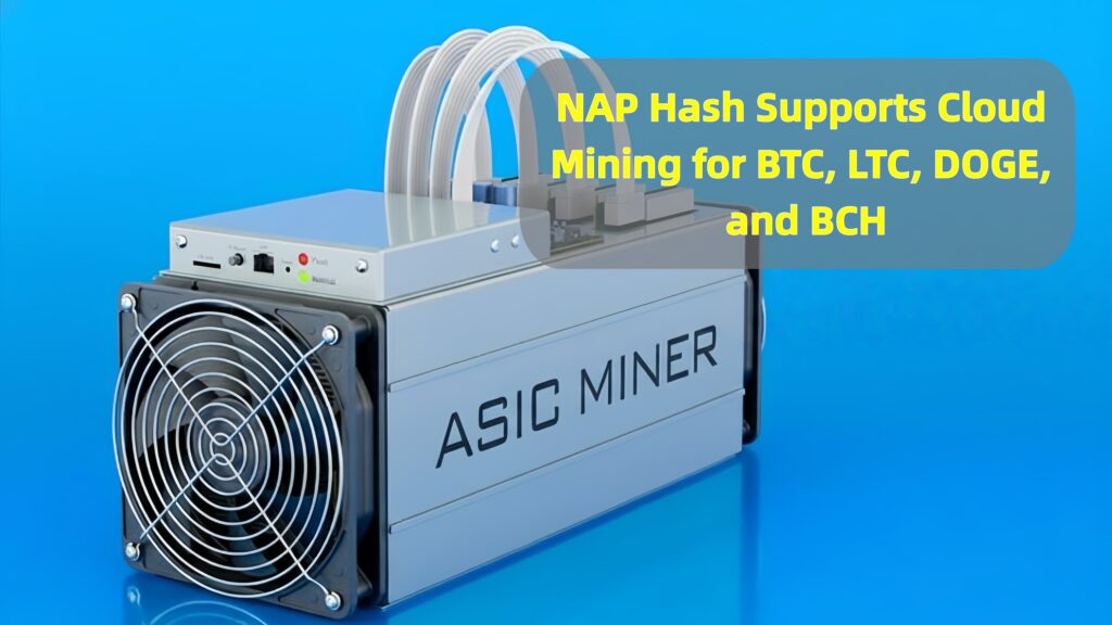 Was ist Bitcoin Cloud Mining? Ein Leitfaden für Anfänger zu NAP Hash - Halbangst.de