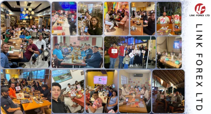 LINK FOREX beschleunigt globale Expansion im Jahr 2026: Technologische Neugestaltung der Teilhabe von Privatanlegern an globalen Märkten - Halbangst.de