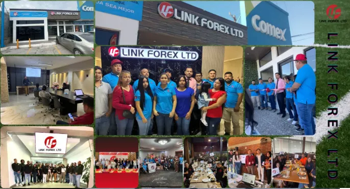 LINK FOREX beschleunigt globale Expansion im Jahr 2026: Technologische Neugestaltung der Teilhabe von Privatanlegern an globalen Märkten - Halbangst.de